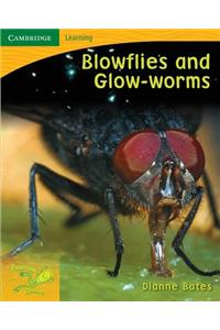 Pobblebonk Reading 4.4 Blowflies and Glow Worms