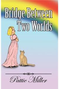 Bridge Between Two Worlds