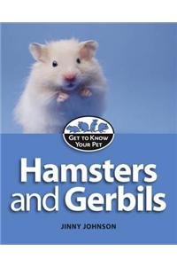 Hamsters and Gerbils