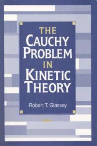 The Cauchy Problem in Kinetic Theory