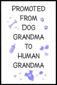 Promoted From Dog Grandma To Human Grandma