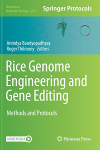 Rice Genome Engineering and Gene Editing