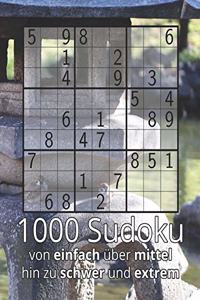 1000 Sudoku von einfach über mittel hin zu schwer und extrem
