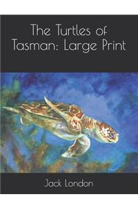The Turtles of Tasman