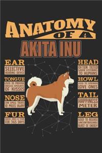 Anatomy Of A Akita Inu