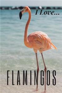 I Love Flamingos