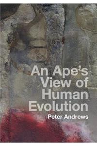 Ape's View of Human Evolution