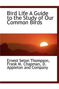 Bird Life a Guide to the Study of Our Common Birds