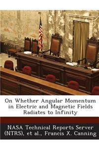 On Whether Angular Momentum in Electric and Magnetic Fields Radiates to Infinity