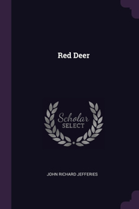 Red Deer