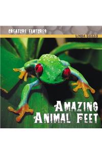 Amazing Animal Feet