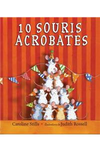 10 Souris Acrobates