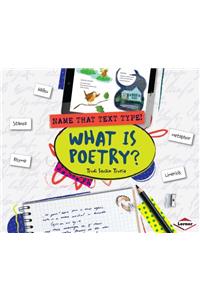 What Is Poetry?