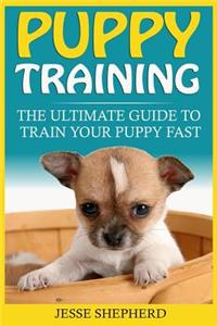 Puppy Training