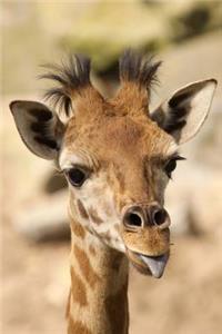 A Funny Baby Giraffe Sticking Out Her Tongue Journal