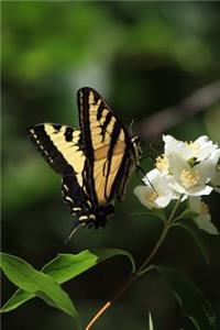 A Black and Yellow Swallowtail Butterfly on a Flower Summer Day Journal