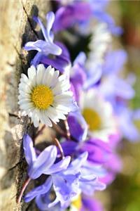 Daisy and Spring Flowers Journal