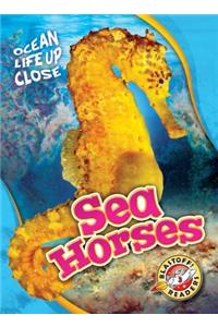 Sea Horses
