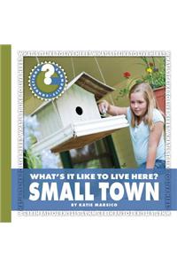 What's It Like to Live Here? Small Town