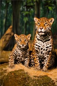 Leopard cub Lovers Gift For Girls, Boys, Women & Men