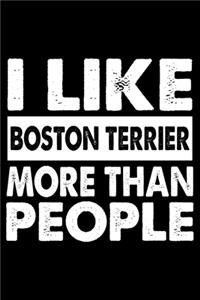 I Like Boston Terrier More Than People