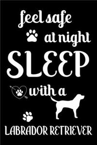 Feel Safe At Night Sleep With a Labrador Retriever