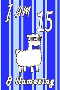 I AM 15 and LLamazing boys journal