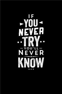 If You Never Try You'll Never Know