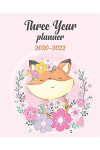 2020-2022 Three Year Planner