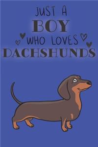 Just A Boy Who Loves Dachshunds