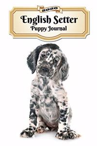 2020 English Setter Puppy Journal