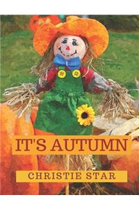 It's Autumn: An Alphabet Celebrating The Seasons