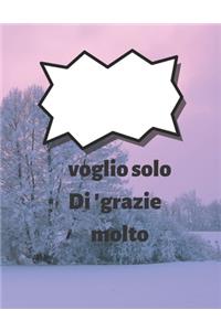 taccuino: voglio solo ringraziarti molto: voglio solo ringraziarti molto, regalo per taccuino per il ringraziamento, libro di giornale perringraziamento giorn