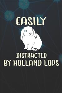Easily Distracted By Holland Lops
