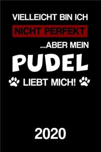 Pudel 2020