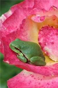 Tree Frog in a Pink Rose Journal