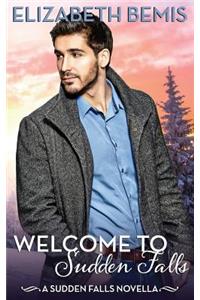 Welcome to Sudden Falls