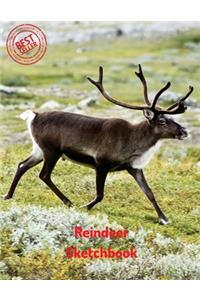 Reindeer Sketchbook