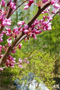 Spring Pink Tree Blossoms 2019 Weekly Planner 134 Pages