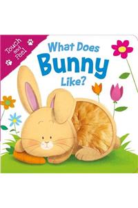 What Does Bunny Like? (Touch & Feel)