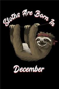 Sloths Are Born in December