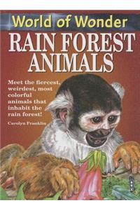 Rain Forest Animals