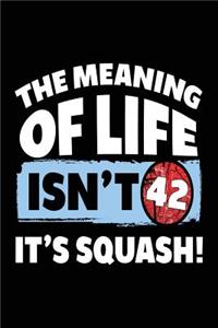 The Meaning Of Life Isn't 42 It's Squash