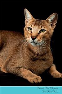 Chausie Cat Presents