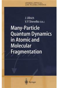 Many-Particle Quantum Dynamics in Atomic and Molecular Fragmentation