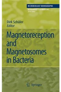 Magnetoreception and Magnetosomes in Bacteria