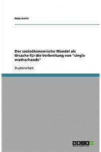 Der Soziookonomische Wandel ALS Ursache Fur Die Verbreitung Von 