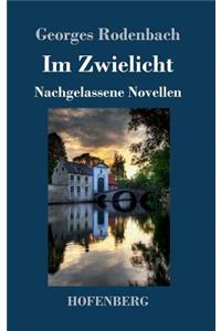 Im Zwielicht: Nachgelassene Novellen