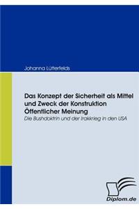 Konzept der Sicherheit als Mittel und Zweck der Konstruktion Öffentlicher Meinung