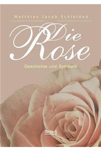 Die Rose